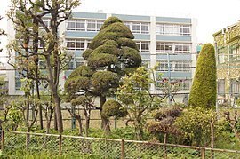 成女学園中学校・成女高等学校.jpg