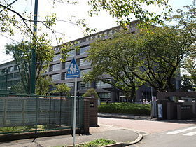 日本大学藤沢高校.jpg
